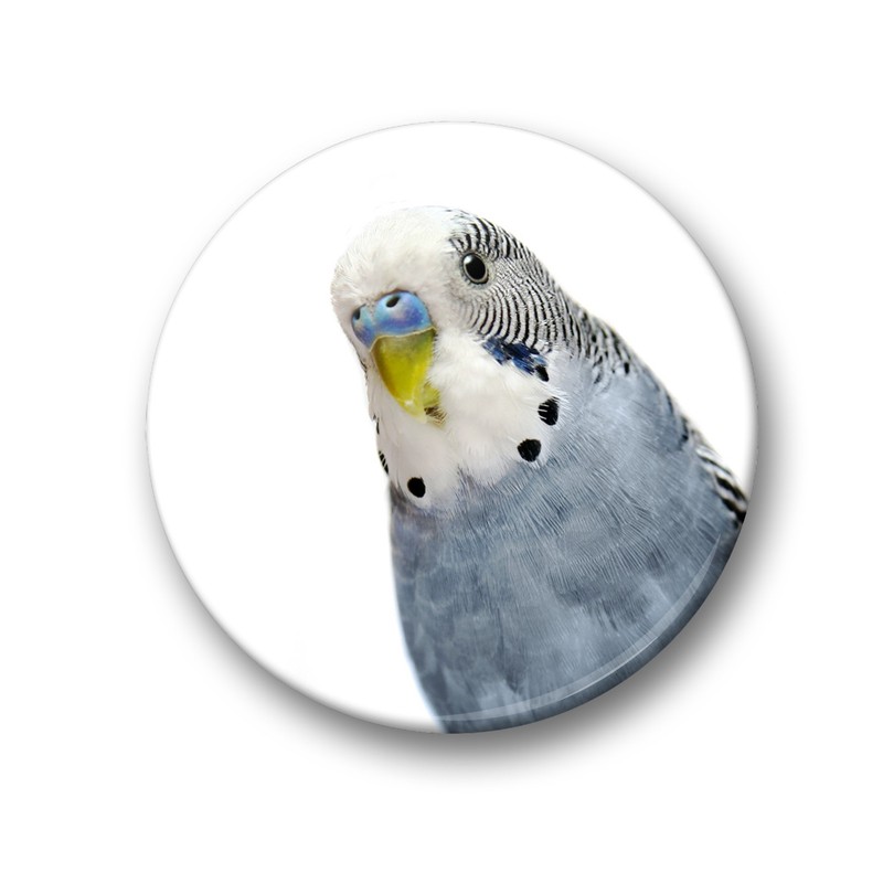 Merchandise for Fans Budgies Budgies Yellow / Blue / Green
