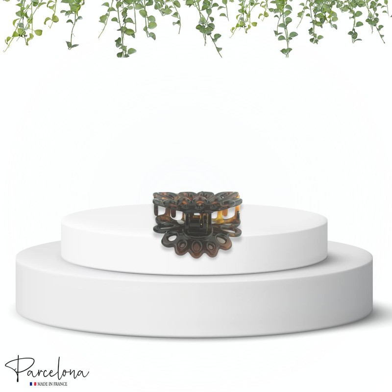 Parcelona French PLUME - Pinza para el pelo (tamaño pequeño,