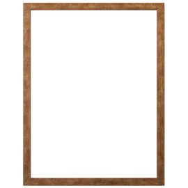 Larson Jules Andover Picture Frame (8x10 inch = 254x203mm inside dimension), Gold