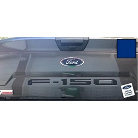 Decal Mods 2018-2020 Tailgate Insert Decals Letters Inlays Indent Stickers (Thin) for Ford F150 (2018-2020) (Blue) - CBLU