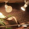 E27 Rotatable Reptile Pet Clip Heat Lamp Bulb Base Socket