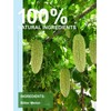 TeeLux Bitter Melon Tea Bags, Pure & Natural Momordica Charantia,