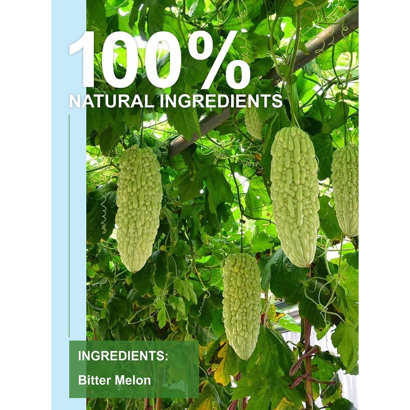 TeeLux Bitter Melon Tea Bags, Pure & Natural Momordica Charantia,