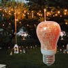 Himalayan Glow 60-Watt Salt Light Bulb - 1 Count, Dimmable,