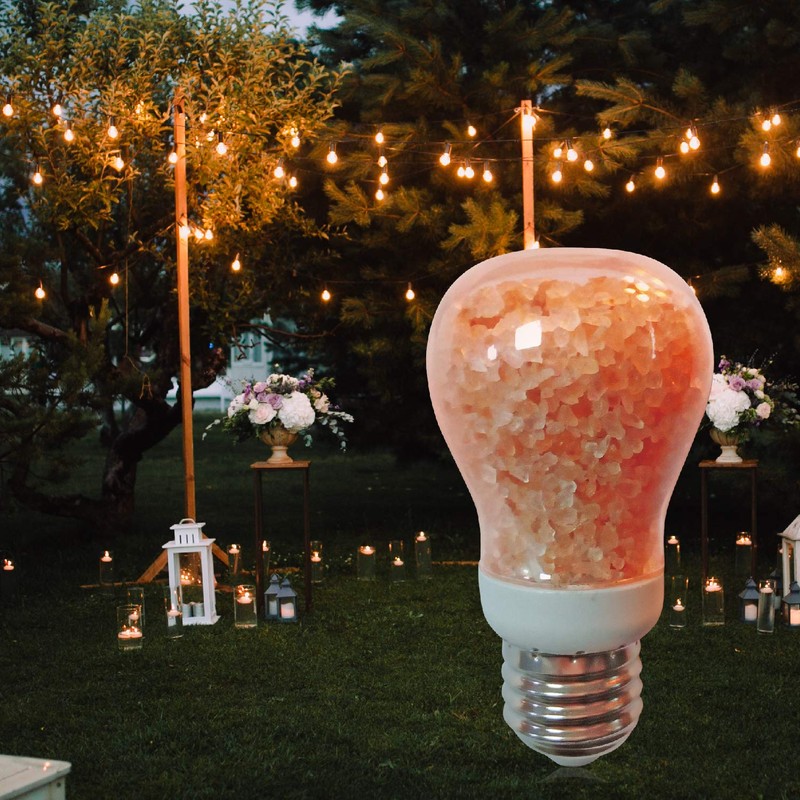 Himalayan Glow 60-Watt Salt Light Bulb - 1 Count, Dimmable,