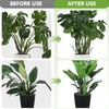 Plant Support Stakes for Climbing Plants, Stackable, Indoor Outdoor Use,