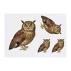 4 x 'Brown Owl' Temporary Tattoos - Water Resistant, Skin-Safe,