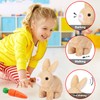 Sunshine smile Bouncing Rabbit, Bouncing Rabbit Toy, Talking Rabbit, Rabbit