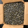 CARR FASTENER (1000) CARR FASTENER Nickel, 3/8", Studs Snap Fastener,