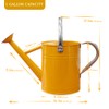 yourjoy Metal Watering Can, One Gallon Watering Cans Stainless Steel