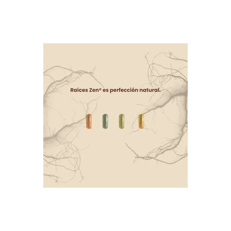 Ácido Alfa Lipoico L-carnitina Biotina 120 Cáps Raíces Zen