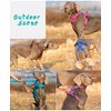 Dog Harness No Pull Adjustable Reflective Step-in Soft Nylon For