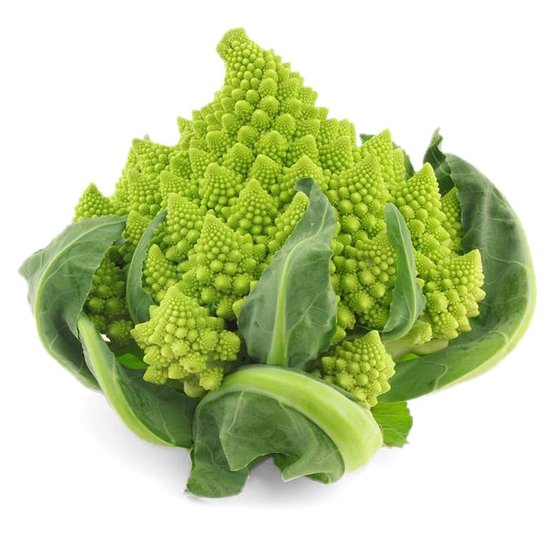 UtopiaSeeds Romanesco Seeds - Broccoli Romanesco Seeds - Romanesco Cauliflower