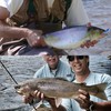 OROOTL Fishing Spinner Lure Bodies Kit, Brass Lure Bodies for