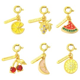 DanLingJewelry 6pcs Cubic Zirconia Fruit Charms Mini Watermelon Cherry Lemon Grape Dangle Charms with Clasps for DIY Jewelry Necklace Keychain Handbag