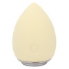 Facial Cleansing Beauty Machine Deep Cleaning High Frequency Vibration Facial
