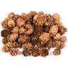 Baker Ross AC492 Larch Cones, Ideal for Kids, Arts and