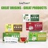 LeafLea 80 Senna Leaf Tea Bags – Natural Herbal Laxative