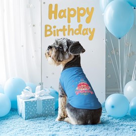 CuteBone Soft Birthday Dog Shirt Lightweight Small Puppy T-Shirts Pet Clothes Breathable Tee Vest Stretchy Outfit Cat Apparel BX15XXL-D