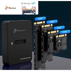 Reagle External SSD Enclosure for M.2 SATA NGFF, USB-C 3.2 and USB-A 10Gbps, Tool-Free Assembly, Plug & Play, Compatible with 2230/2242/2260/2280 SSDs, Black