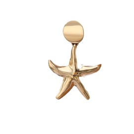 BERYUAN Starfish Earrings for Women Dangle Earrings for Women Fashion Jewelry for Party Prom Earrings Gold