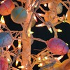 TW SHINE Pastel Easter String Lights, 20FT 100 Count Incandescent