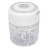 Mini Electric Garlic Chopper Large Capacity Powerful Motor 304 Stainless