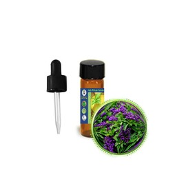 3.7ml (1/8oz) Heliotrope (Heliotropium Arborescens) Absolute Essential Oil