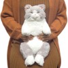 SUNLEMON P-6462 Hiza Cat Suyasuya Plush Toy GY