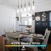 DAYBETTER 12 Pack Vintage LED Edison Bulbs, E26 Led Bulb