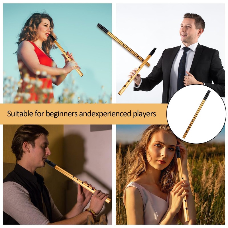 Tin Whistles, Penny Whistle Six-Hole Tin Whistle D, D-Shaped Instrument