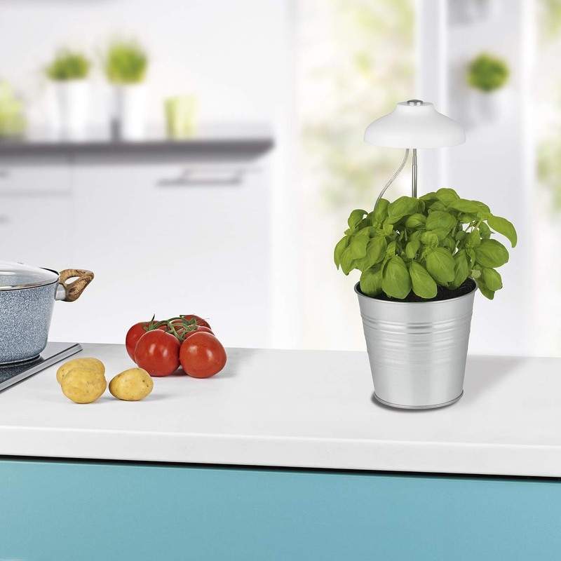 MAXXMEE LED plant light with telescopic rod, optimal light temperature