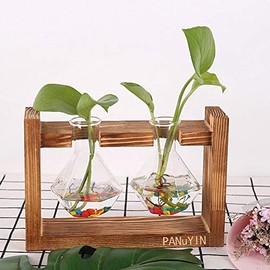 PANuYIN Modern Triple Balls Desk Vase | Hydroponics Plant Glass | Terrarium Vase Container | Planter Pot with Wooden Stand (Double Hang Post H)