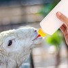 5 botellas de alimentación de cordero con 5 pezones, 400