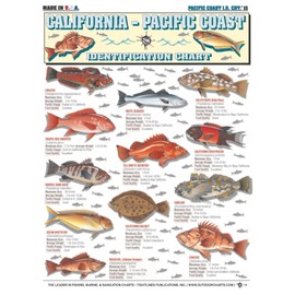 Tightlines Chart #15 - California - Pacific Ocean - Id Chart