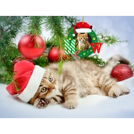 JUESMOS Christmas Picture Ornaments 2024 Cat Photo Frame Christmas Ornaments Pet Cat Hanging Pendant for Christmas Tree Decoration Cat Christmas Keepsake Gifts for Cat Lovers Pet Owners