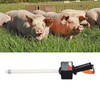 Pig Ovulation Detector Arc Probe Non Destructive Detection Digital Display