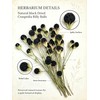 30Pcs Natural Black Dried Craspedia Billy Balls, Boho Dried Thistle