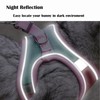 Rabbit Harness and Leash Set Escape Proof, Adjustable Soft Padded
