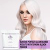 Temora Premium Dust Free Blue Bleaching Powder For Blonde Hair