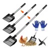 Large chicken poop scooper, chicken accessories, sieve scoop, chicken coop