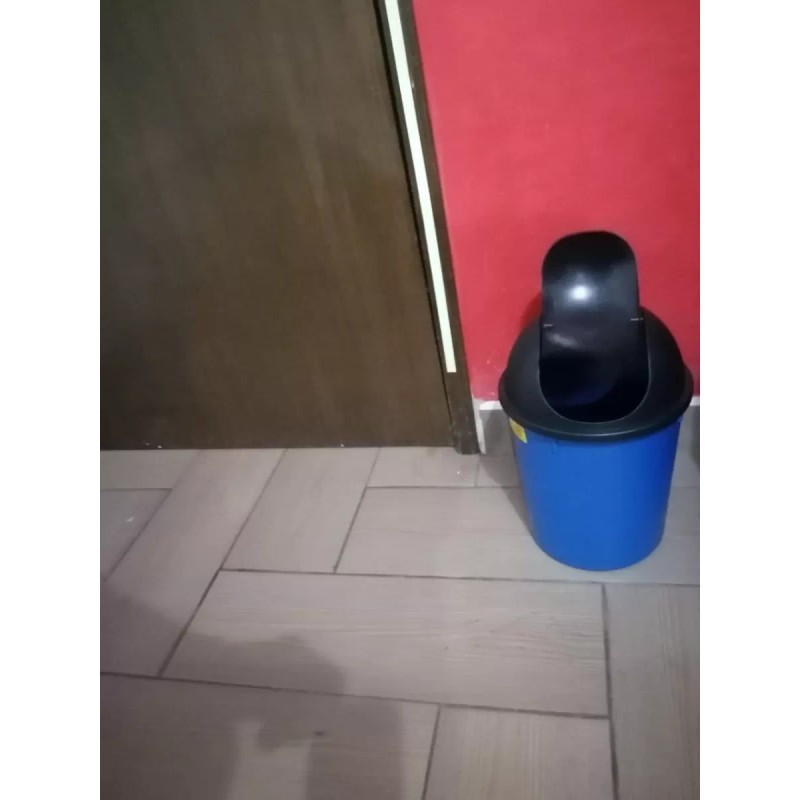 Boris 2 Botes De Basura Económicos Con Balancín De 9