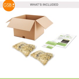 Garden State Bulb Aaron White Caladium Bulbs, Bare Roots, Spring Planting (Bag of 20)