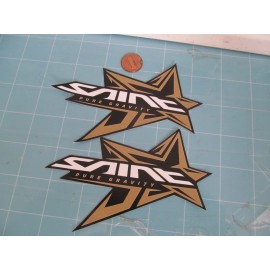 X2SAINT BMX  Sticker Decal ORIGINAL VINTAGE