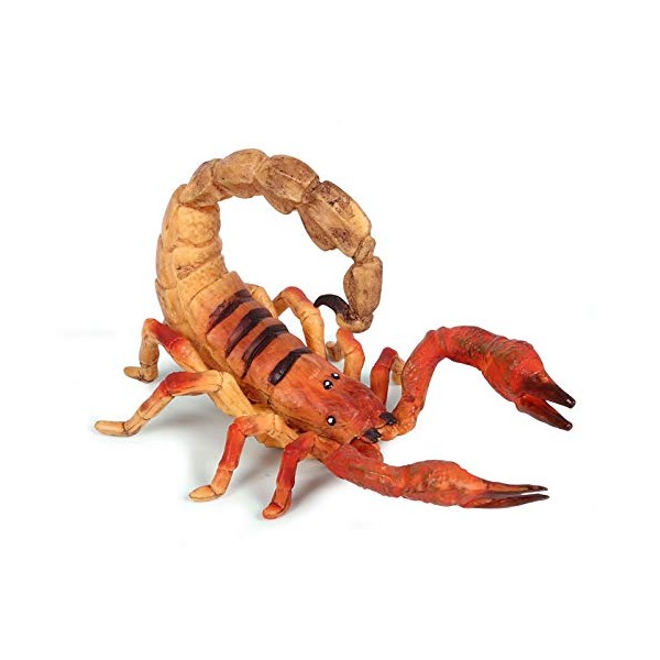 Rich Boxer Scorpion Figurine Realistic Plastic Scorpion Arthropod Figurine for Collection Science Educational Prop