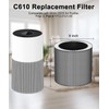 Zyxor C610 Replacement Filter Z Compatible with Winix C610 Air