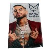 Frazada Cobija Viajera Rauw Alejandro Ultra Suave Lo Mejor