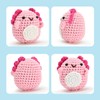 Zepiany Crochet Kit for Beginners, Amigurumi Crocheting Animals Kits with