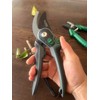 Bypass Pruning Shears, 3/4-Inch Cut Capacity Garden Clippers, Gardening Scissors