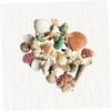 DOITOOL 1pack Natural Shell Conch Fish Tank Landscaping DIY Craft